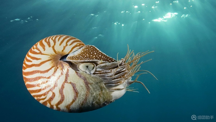 海洋大學水生生物博物館